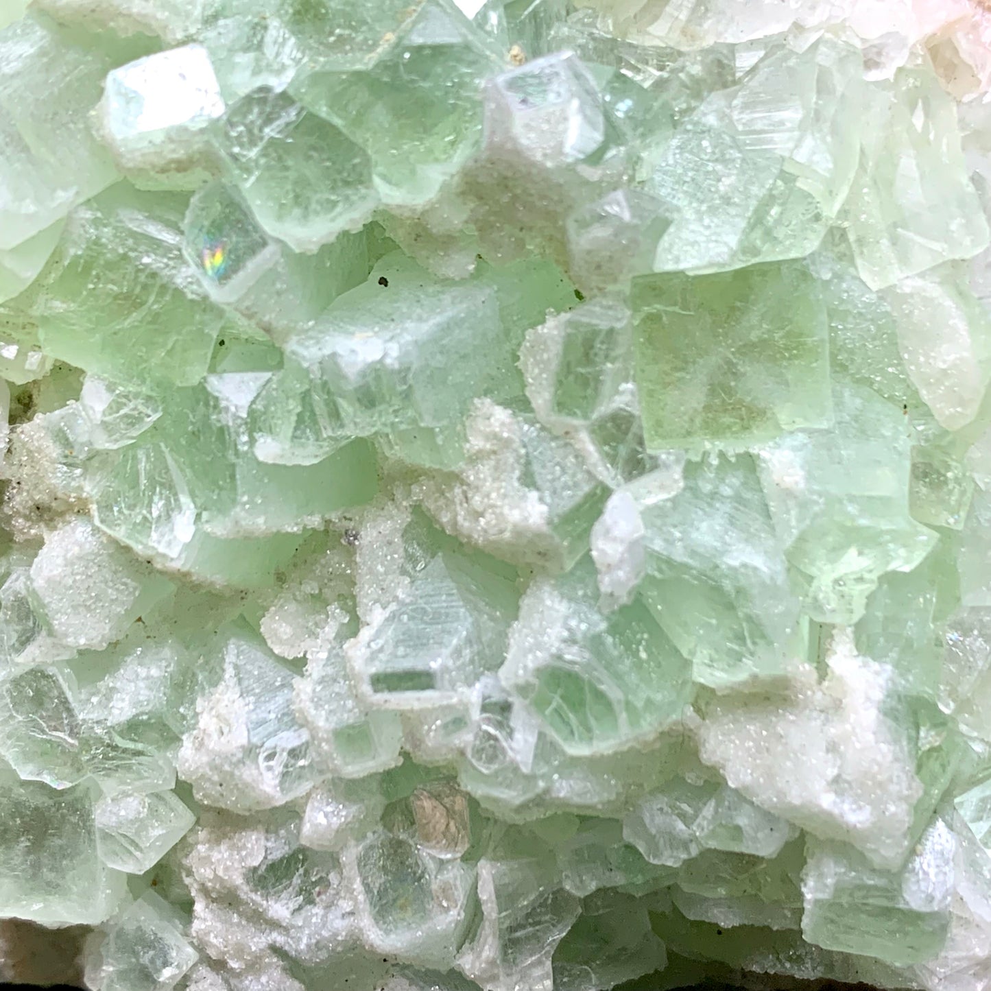 3.3" Rare Green Apophyllite Crystal Cluster