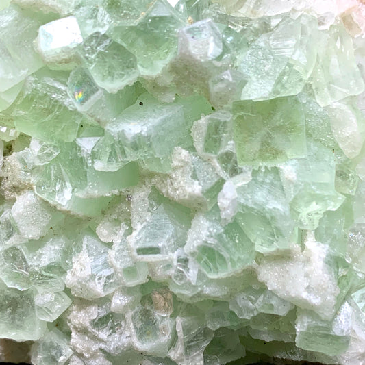 3.3" Rare Green Apophyllite Crystal Cluster
