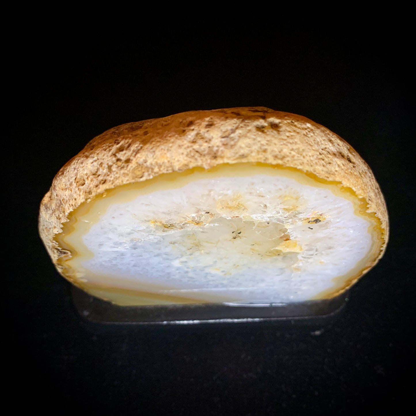 4.6" Cut & Polished Brazilian Agate on Wooden Stand