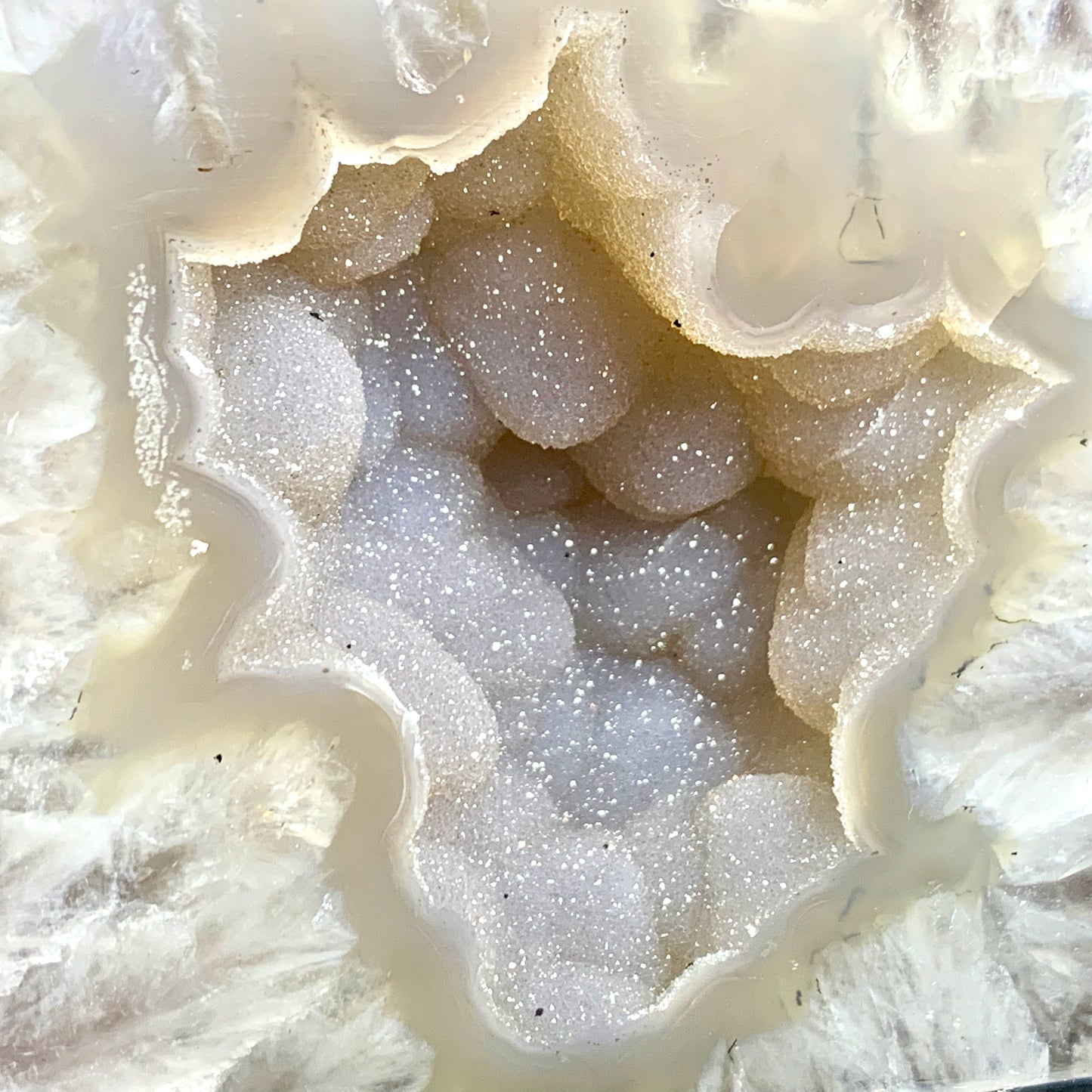 7.1" Wide Cut & Polished Brazilian Agate on Wooden Stand