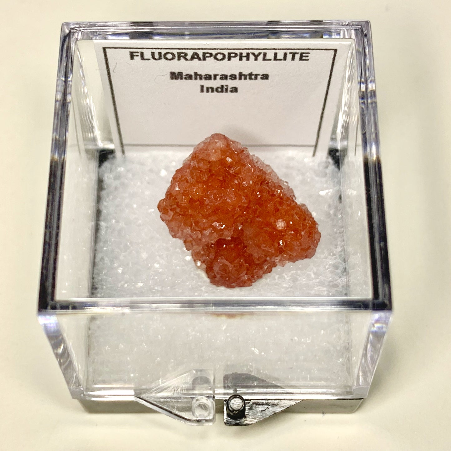 Fluorapophyllite from India