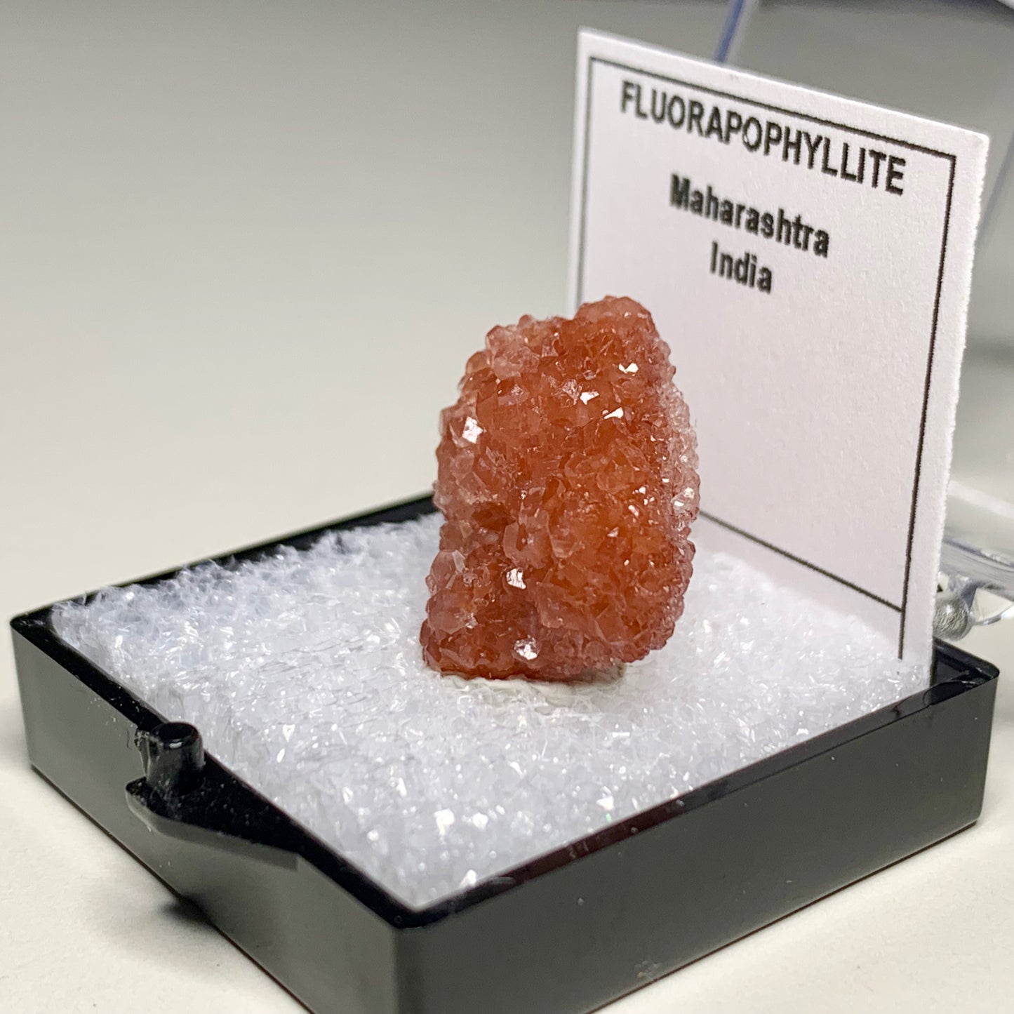 Fluorapophyllite from India