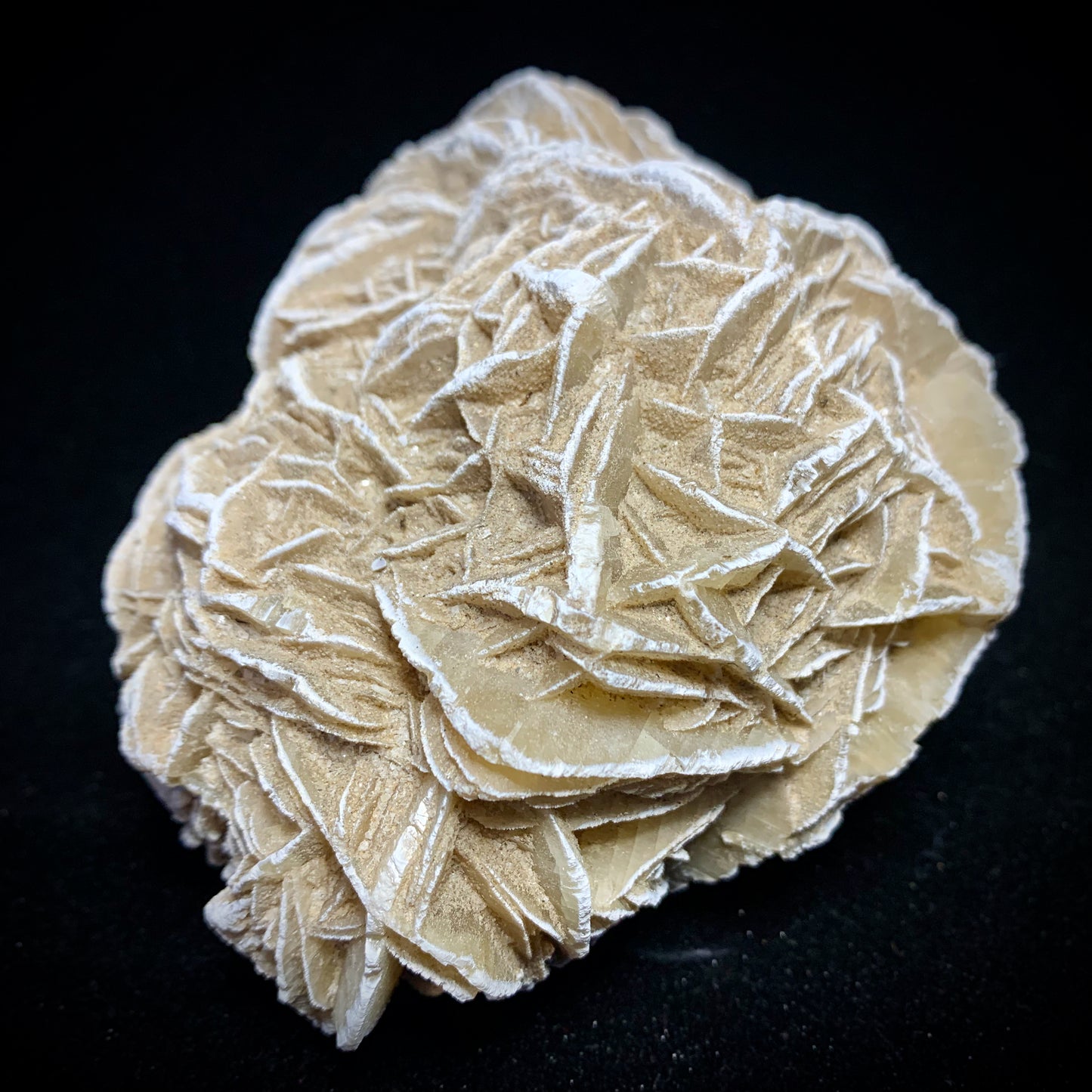 5.1" Gypsum Desert Rose from Mexico