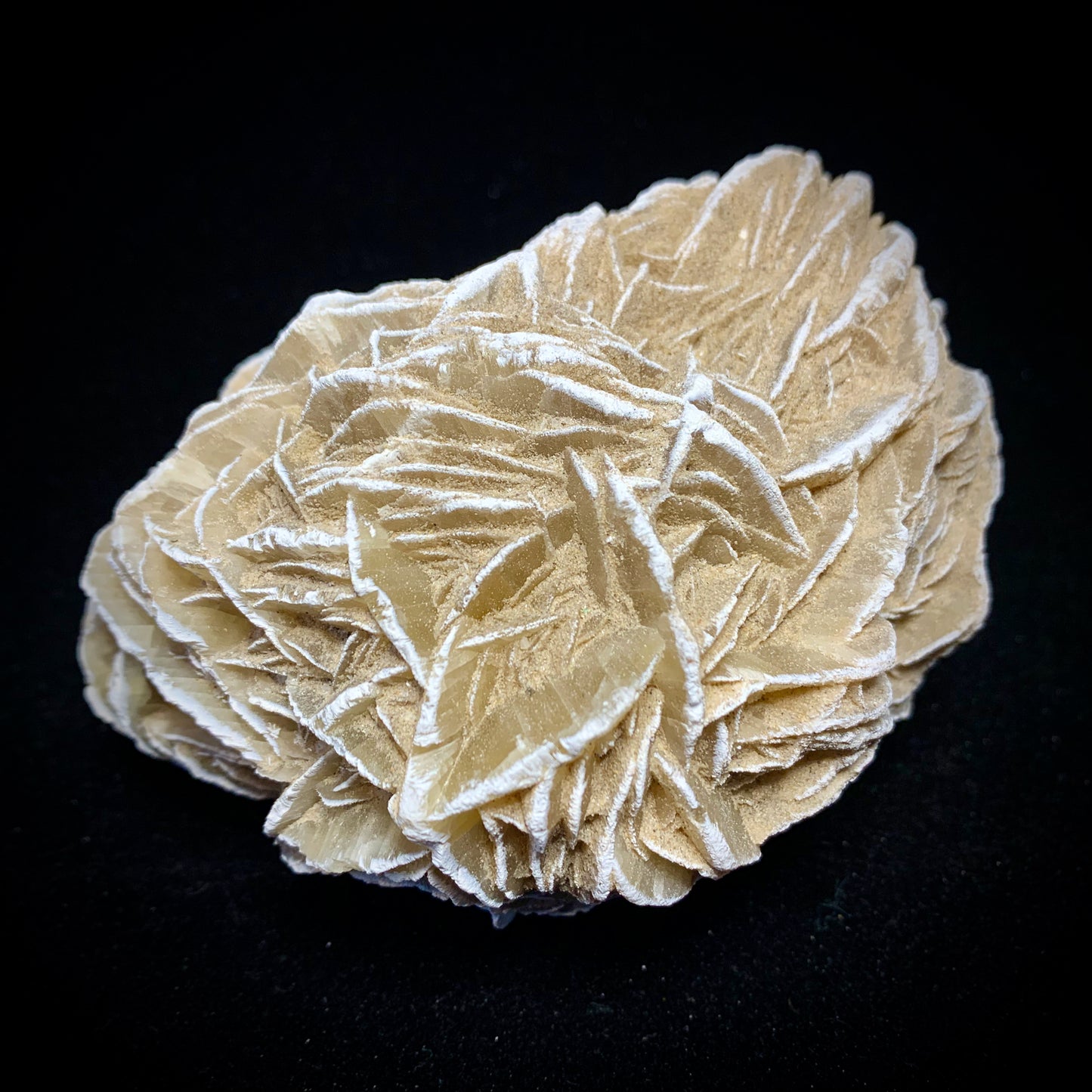 5.1" Gypsum Desert Rose from Mexico