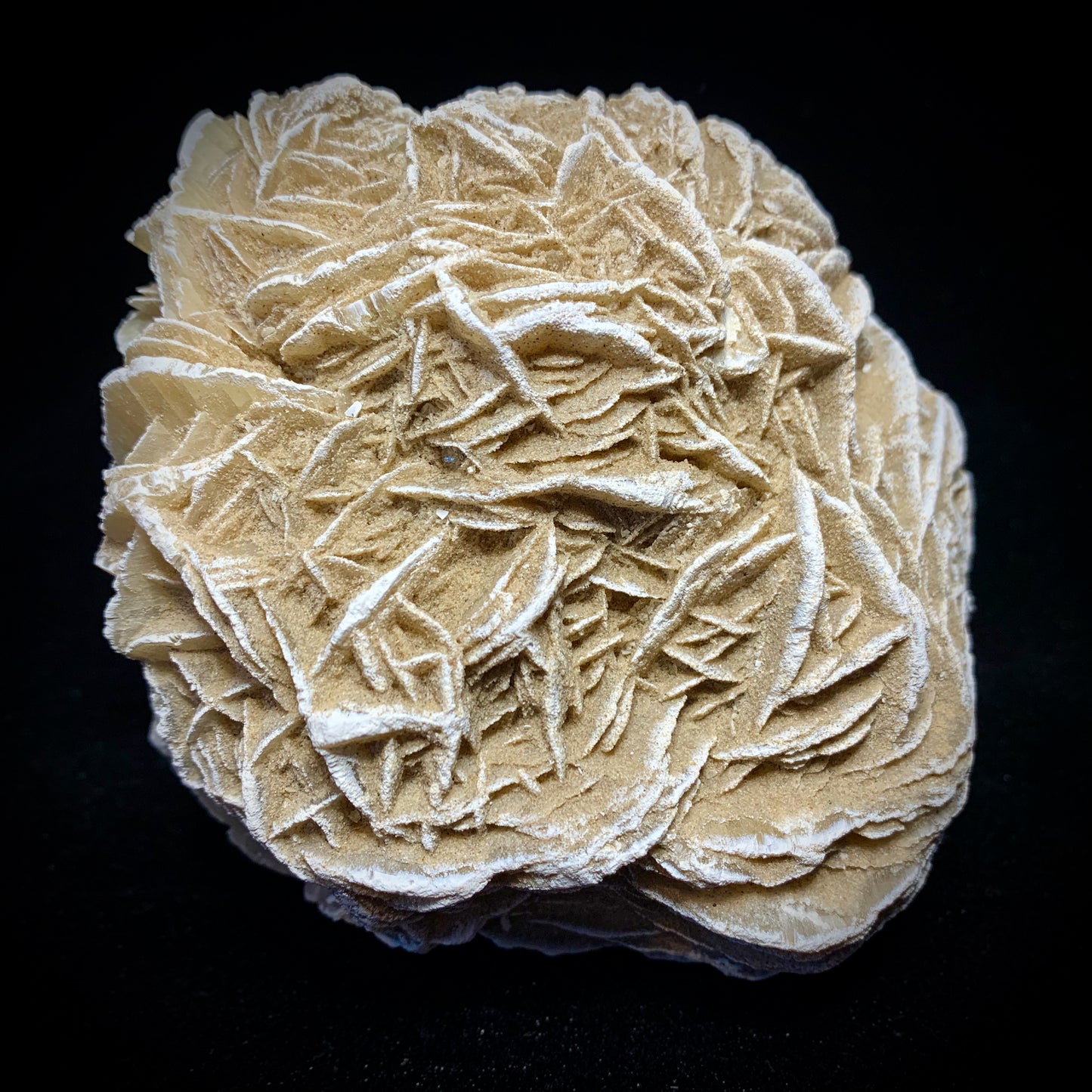 5.1" Gypsum Desert Rose from Mexico