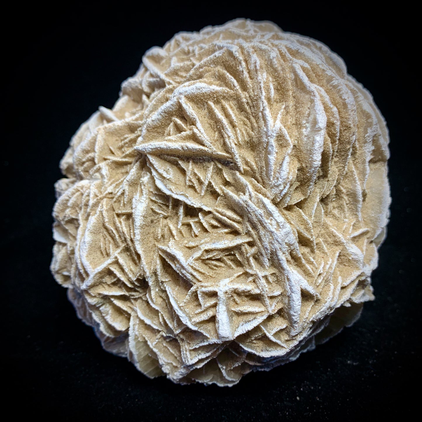 5.1" Gypsum Desert Rose from Mexico
