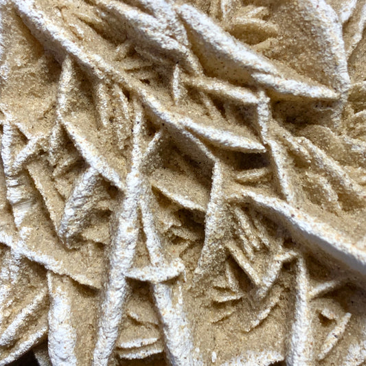 5.1" Gypsum Desert Rose from Mexico