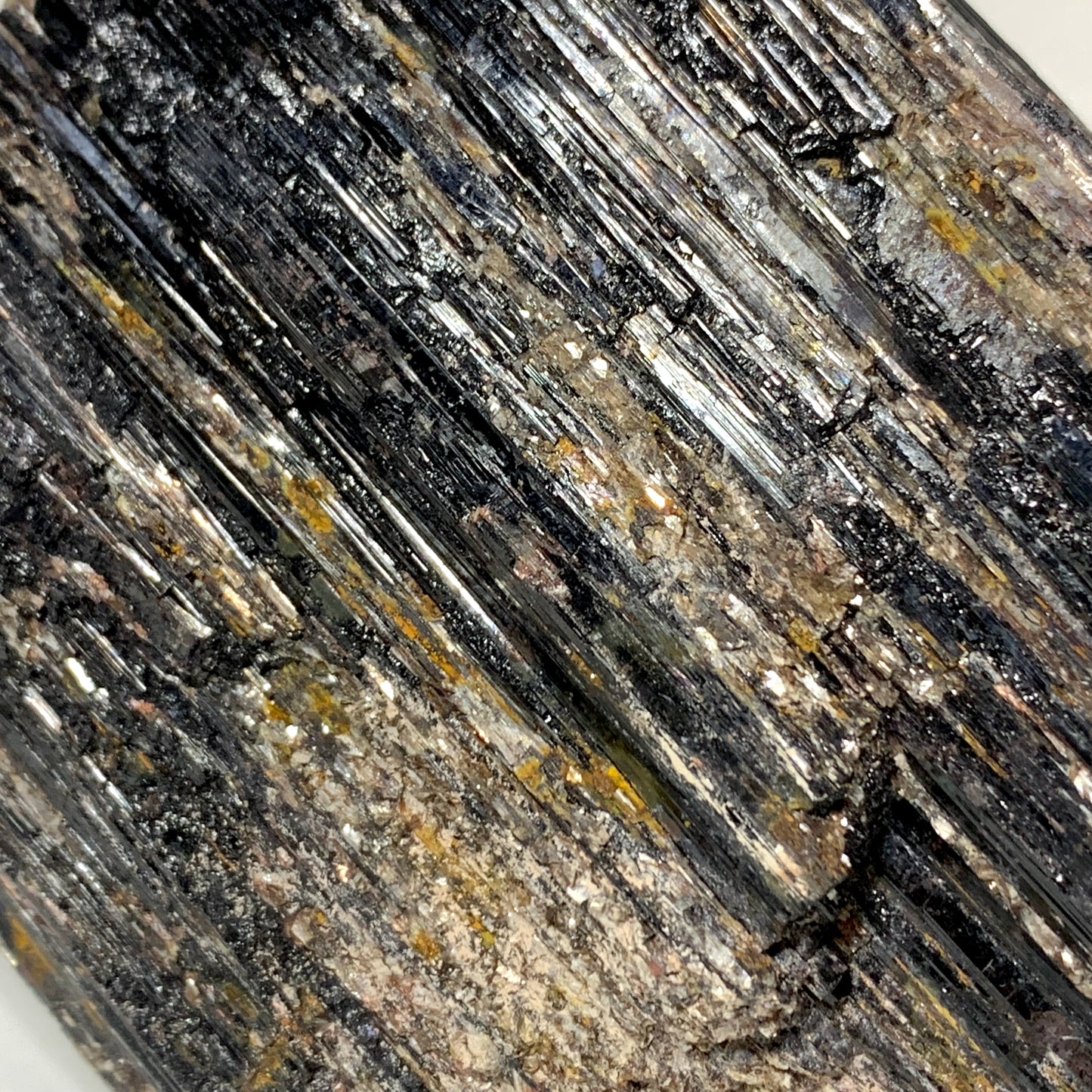 5" Natural Black Tourmaline Crystal Cluster