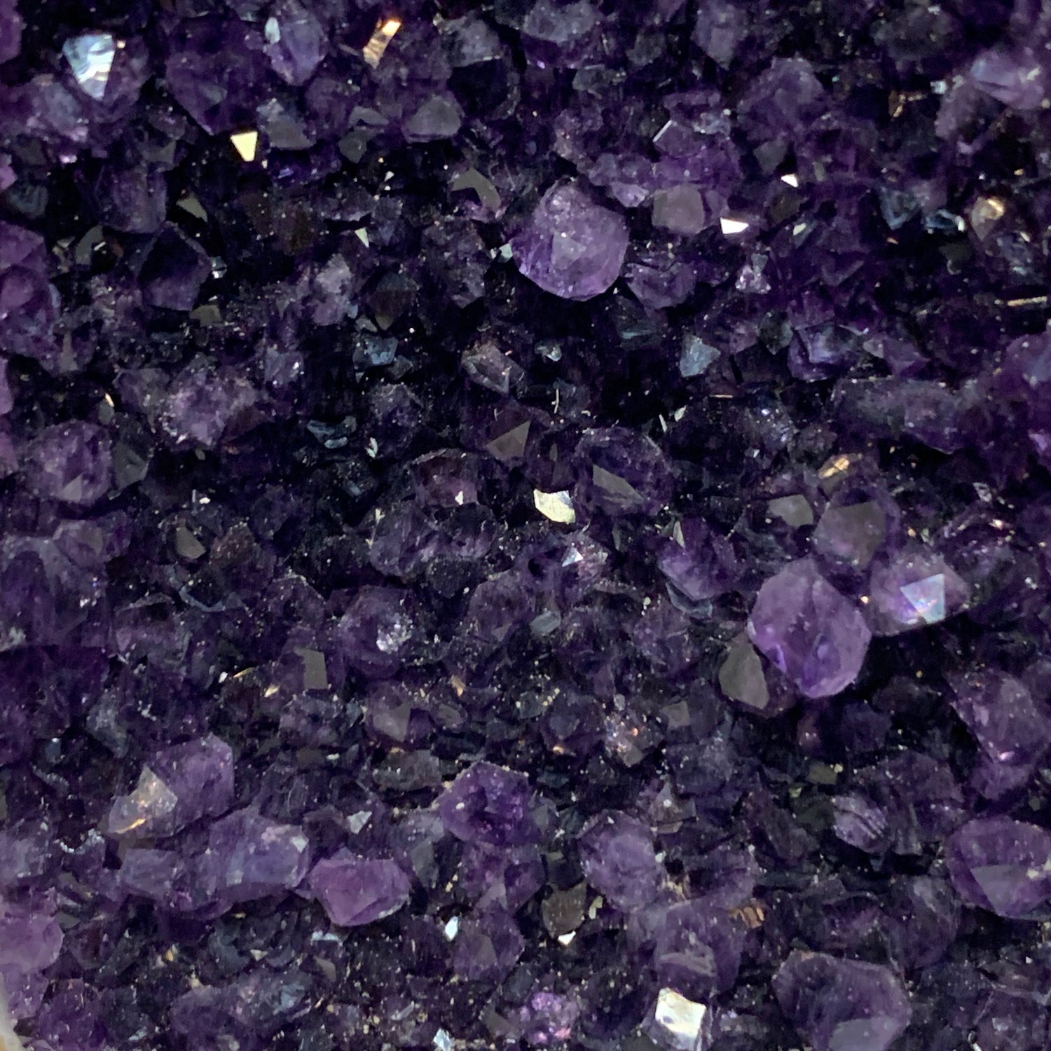 Purple Minerals