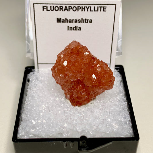 Fluorapophyllite from India
