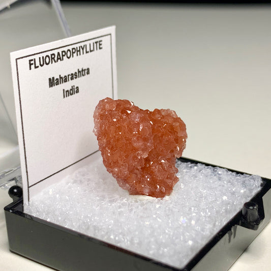 Fluorapophyllite from India
